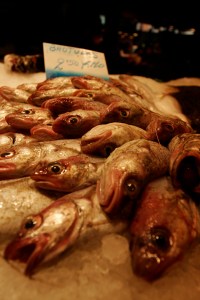 fishy