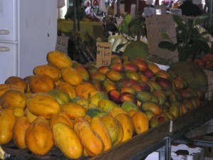 IMGP0068