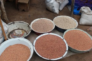 Millet
